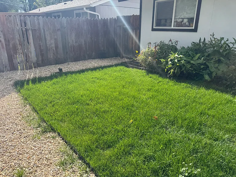 3672 N Collister Dr — Photo 8