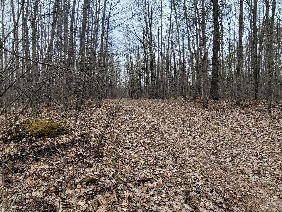 W11985 Jones Rd, Athelstane, WI 54104 Zillow