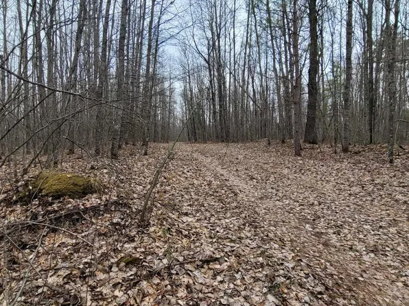 W11985 Jones Rd, Athelstane, WI 54104