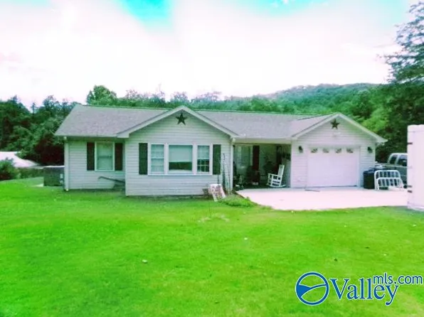 831 Word Mountain Rd, Grant, AL 35747