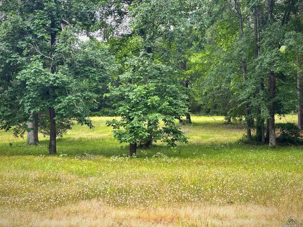 LOT 64 Widgeon Ln, Gilmer, TX 75645