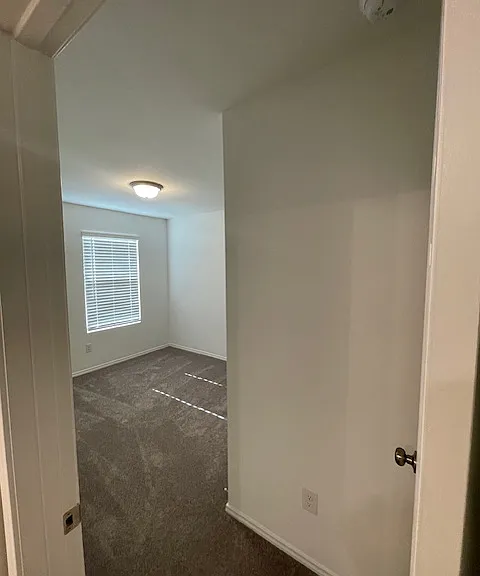 1005 Clear Dusk Ln — Photo 19