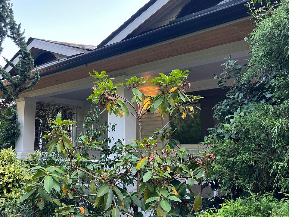 Front garden
