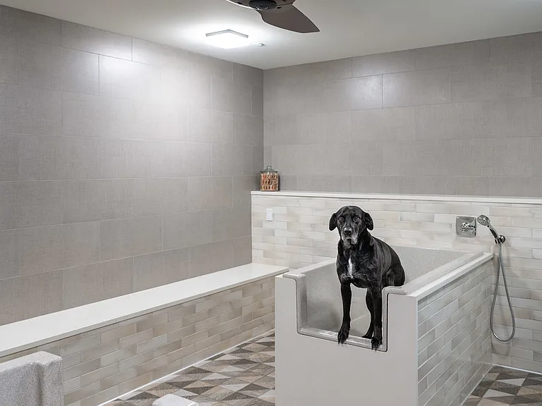 Pet spa