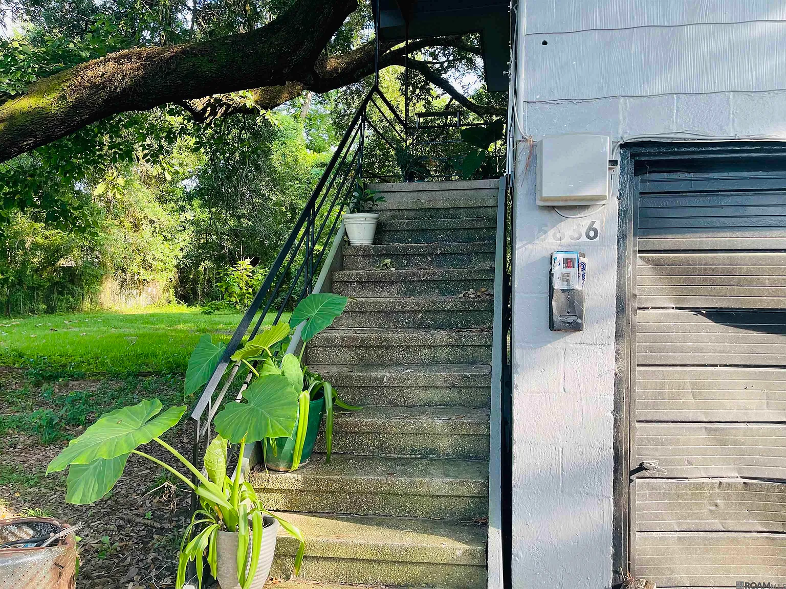 1 bed, 800 sqft, $575 — Photo 2
