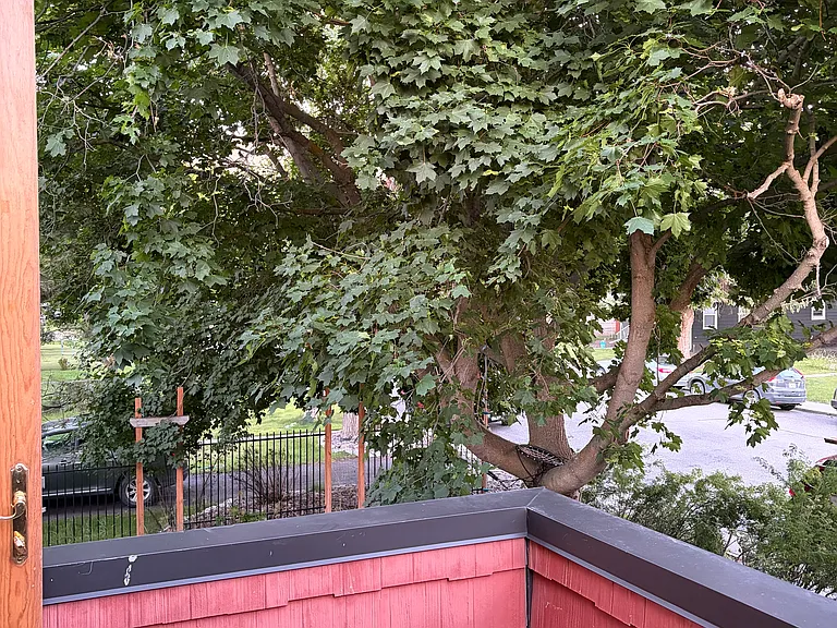 Balcony partially shaded by large maple tree in front.