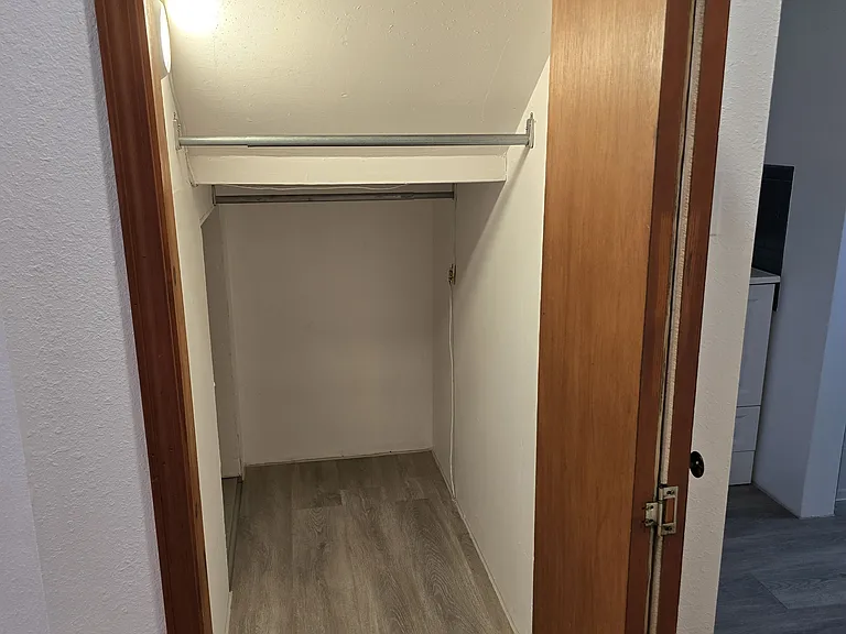 Storage closet underneath the stairs