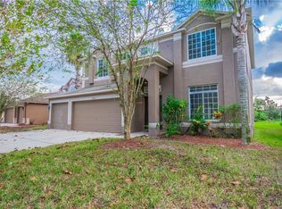18216 Sandy Pointe Dr, Tampa, FL 33647