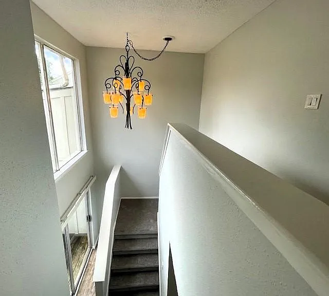 1828 Veranda Dr — Photo 21