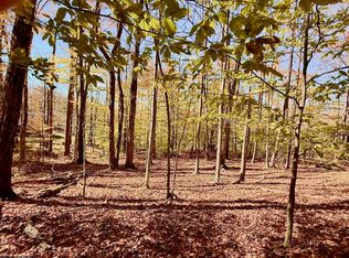LOT 90 Mountainside Rd, Davis, WV 26260