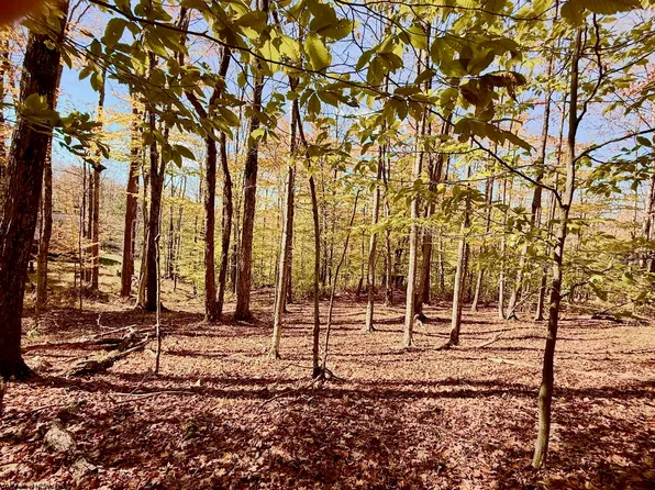 LOT 90 Mountainside Rd, Davis, WV 26260
