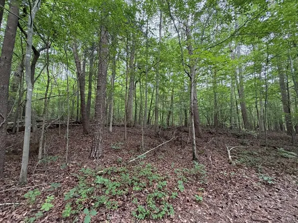 57 Cedar Point Dr, Buffalo Junction, VA 24529