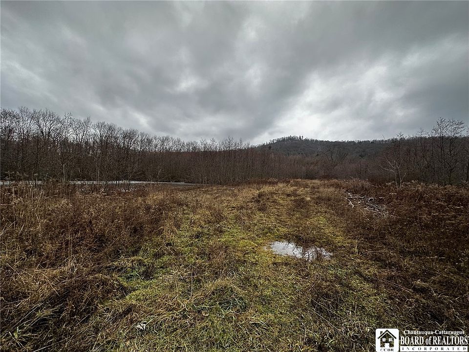 375 Route 219, Limestone, NY 14753 MLS R1487101 Zillow