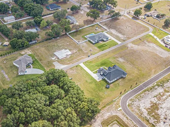 13521 Grand Blossom Ct, Dover, FL 33527