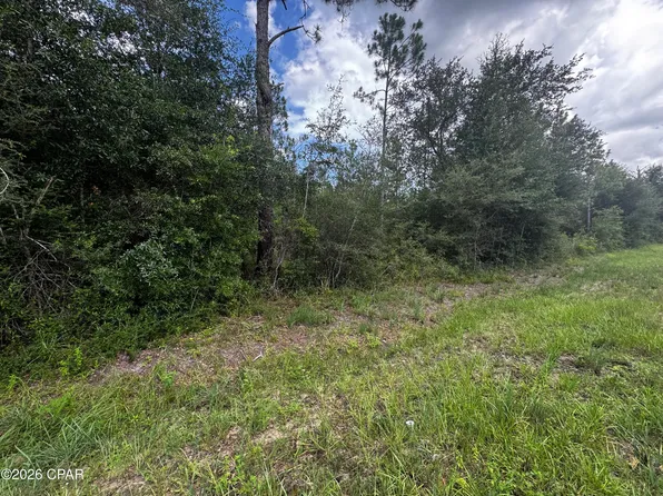0 NW Lake McKenzie Blvd, Altha, FL 32421
