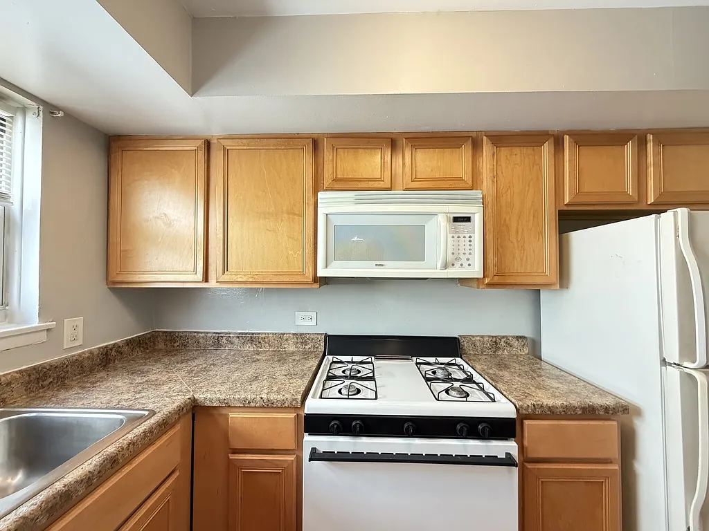 Amazing 1 Bed, 1 Bath at Sheridan + Broadway (Rogers Park) — Photo 4