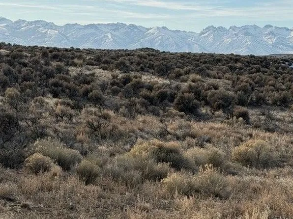 Indian Hills Dr, Elko, NV 89801