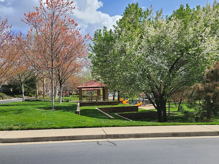 4015 Avellano Dr — Photo 23
