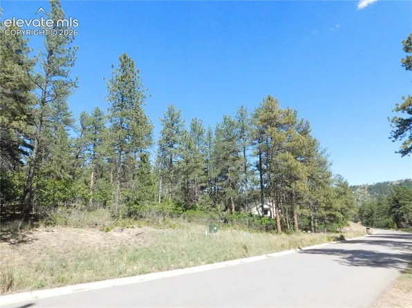 773 Copper Fox Pl, Larkspur, CO 80118