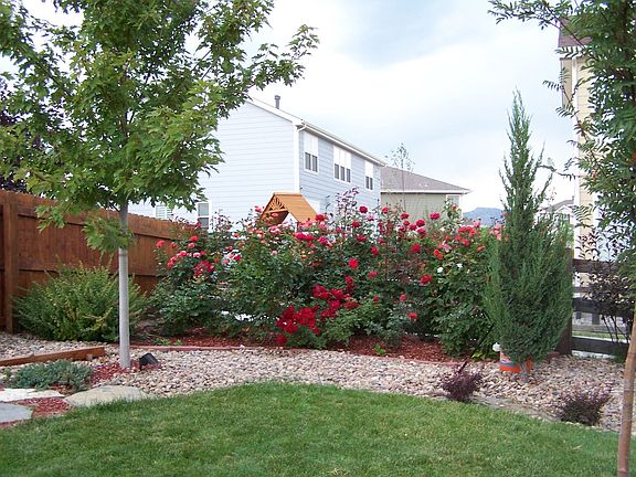 Garden/ Backyard