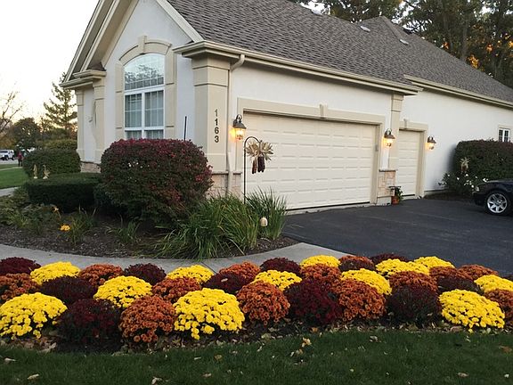 2nd image of 1163 Vineyard Dr