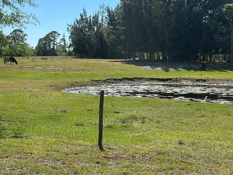 231 Golfpoint Dr — Photo 14