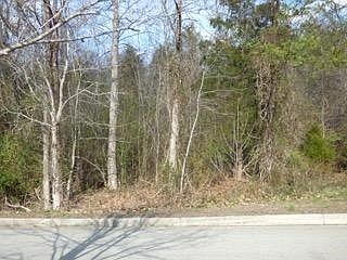 2nd image of 0 Serenity Dr Lot 2