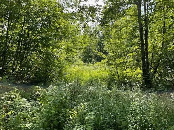 00 Helsing Road, Ojibwa, WI 54862