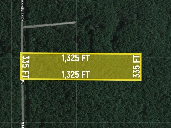 1414 N Merrillville Rd, Baldwin, MI 49304