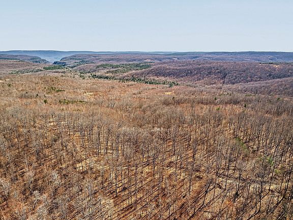 4th image of 253 Daus Mountain Rd