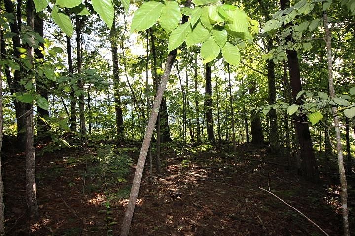 1st image of 523 Rudd Hollow Rd #1