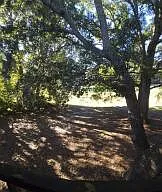 2945 Dove Haven Ct #G — Photo 16
