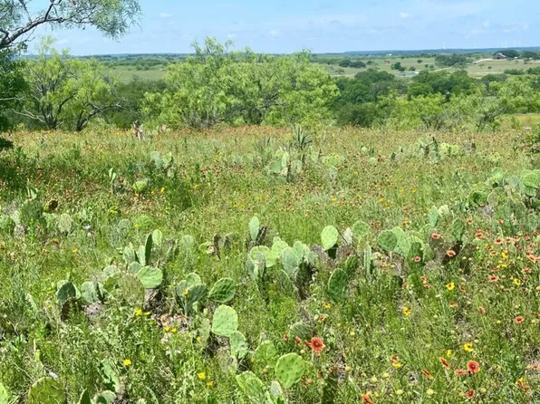 LOT 59 Comanche Lake Rd, Comanche, TX 76442