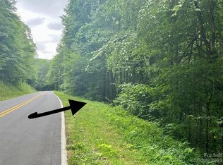 LOT 1 Trammel Gap Rd LOT 1, Saluda, NC 28773