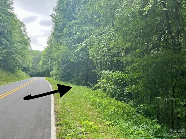 LOT 1 Trammel Gap Rd Lot 1, Saluda, NC 28773