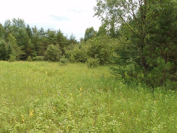 2nd image of On Maple Ridge Rd