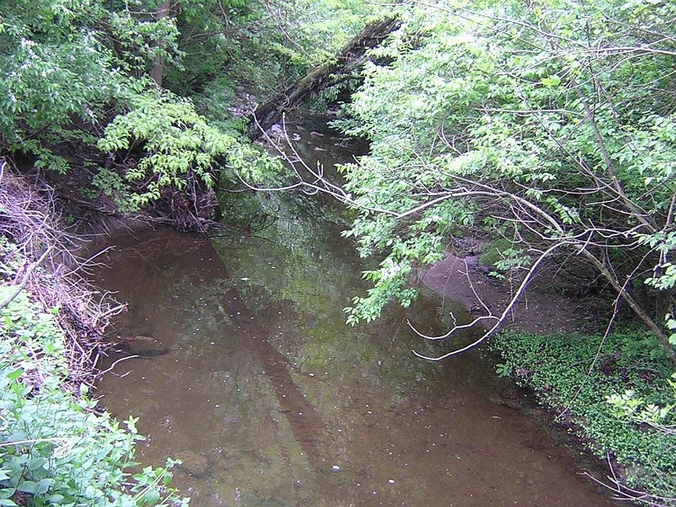 Creek out back