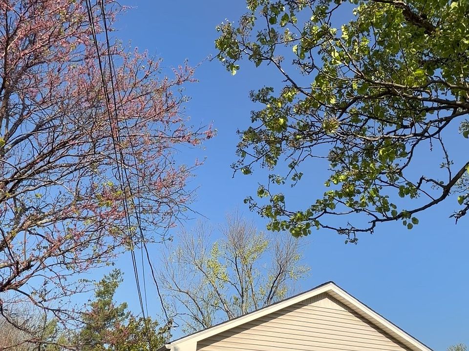 1st image of 5127 Amalie Dr #B