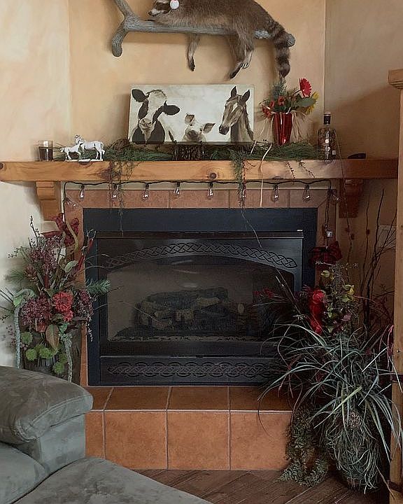 Family Room Fire place 