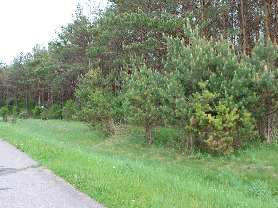 2nd image of LOT 19 Savannah Ln