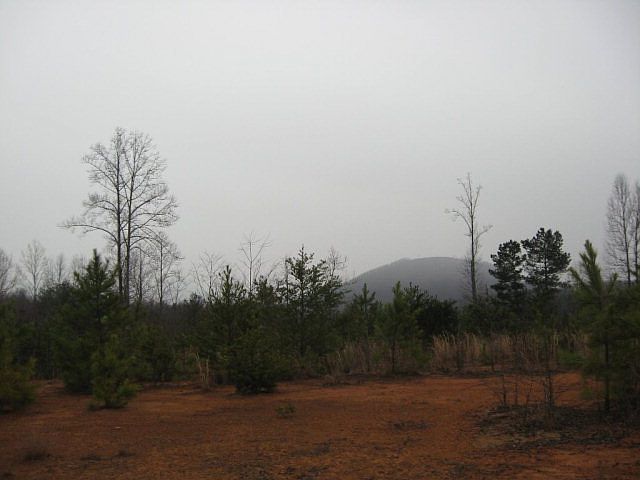 1st image of 2807 Mountain Scene Dr