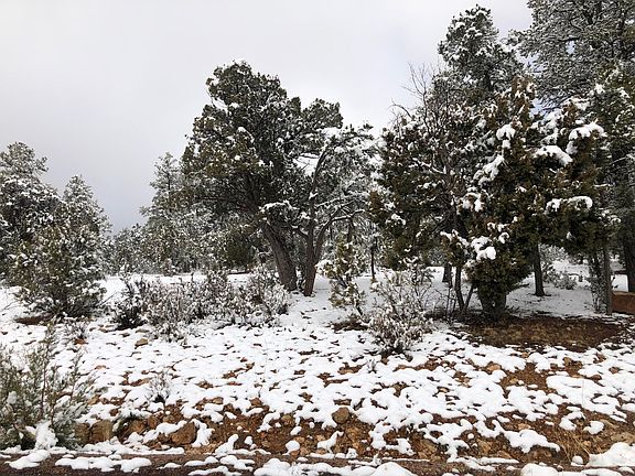 2nd image of 1518 Foxtail Ln