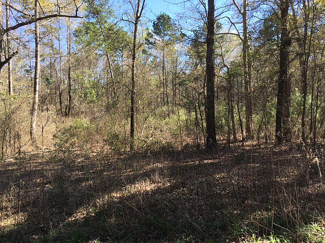1st image of Rbd Forestwood
