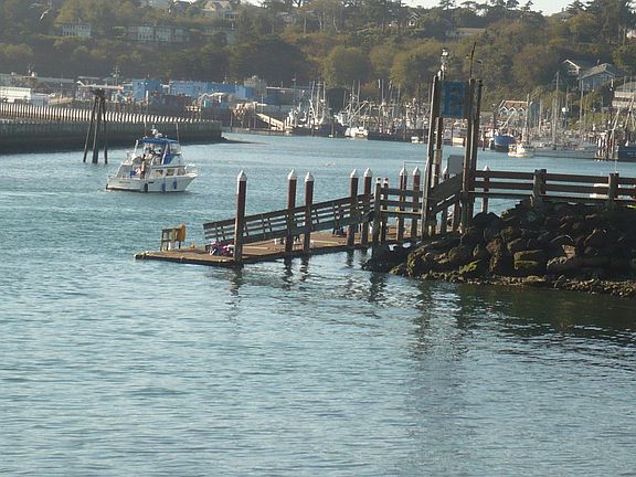 4th image of SE Bay Blvd