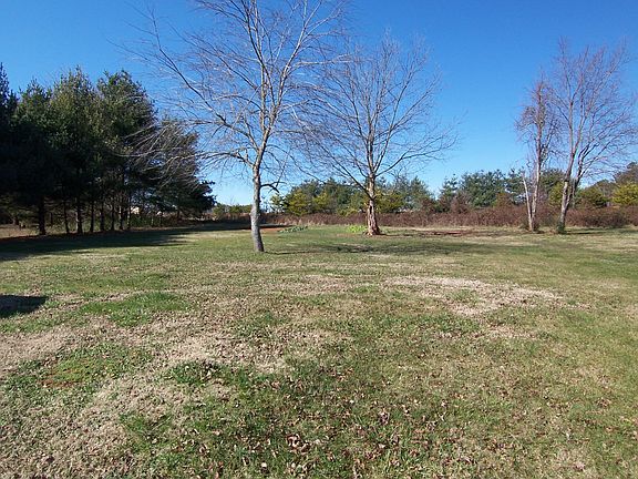 Backyard - Looking Away from Home