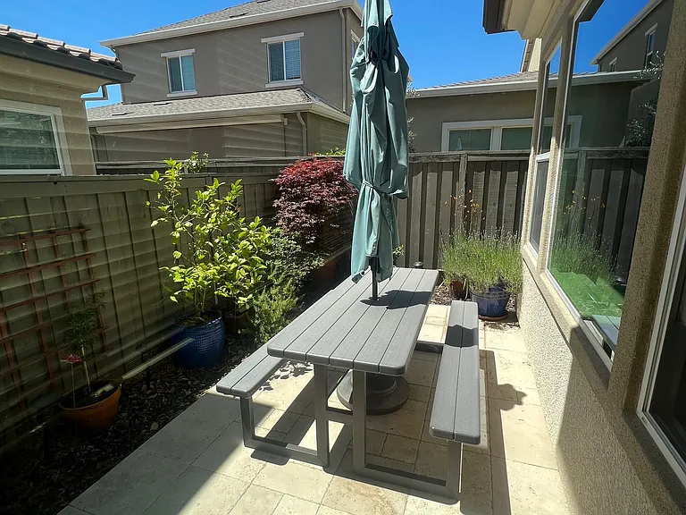 1004 Green Zebra Ter — Photo 4