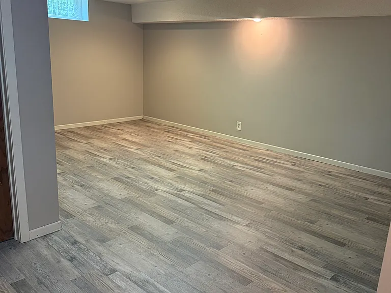 Basement living room