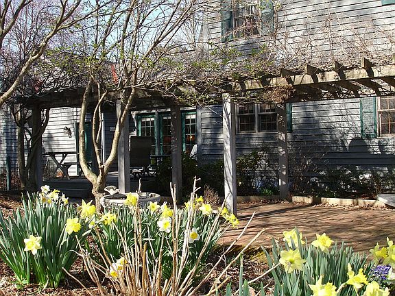 Relax Under the Gorgeous Wisteria Covering the Pergola.