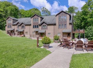 29 Plum Rd, Ellicottville, NY 14731