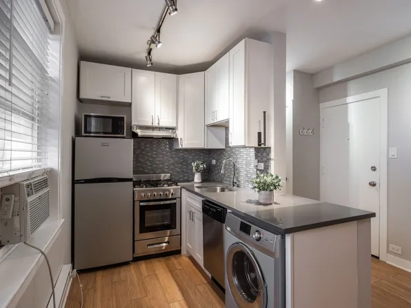503 W Belmont Ave APT 3, Chicago, IL 60657